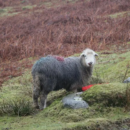 Waterside Holiday home